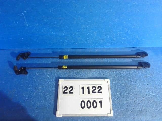 PA85020268_971e6e