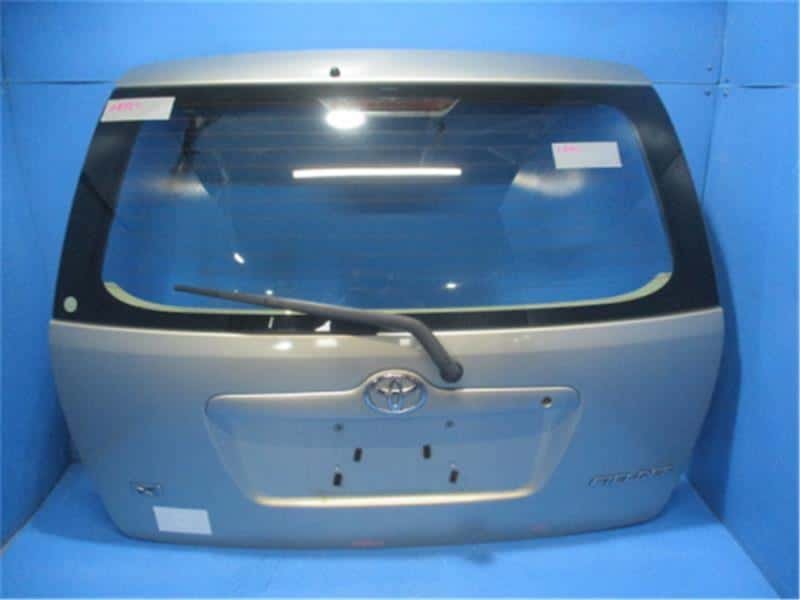Back Door Assembly TOYOTA Corolla Fielder 2001 KE-CE121G